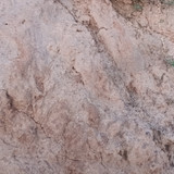 IMG 20260412 190517