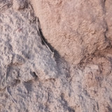 IMG 20260412 190514