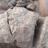 1000096317