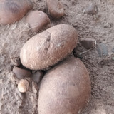 1000096315