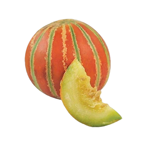 img muskmelon.png