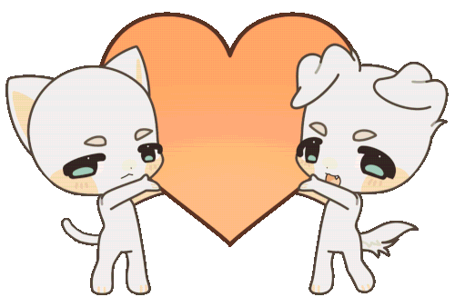 IMG 3492.gif