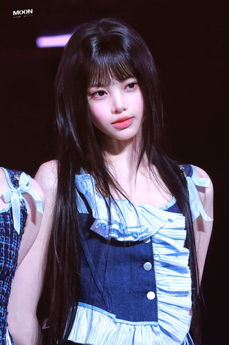 92cefd4d7c90.jpg