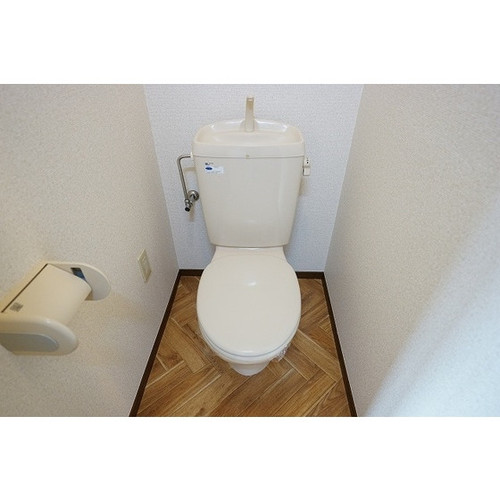 58a38651dc84.jpg