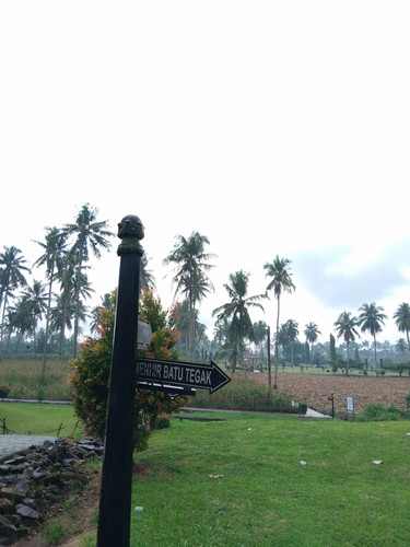 IMG 20260331 121044.jpg