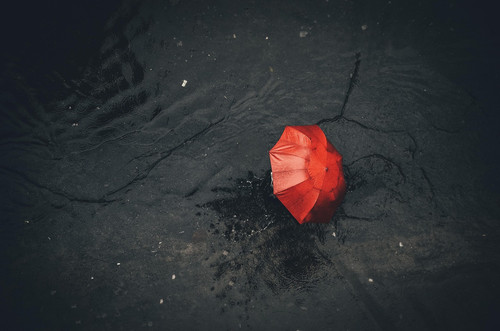 81a5c2f7bb47.jpg