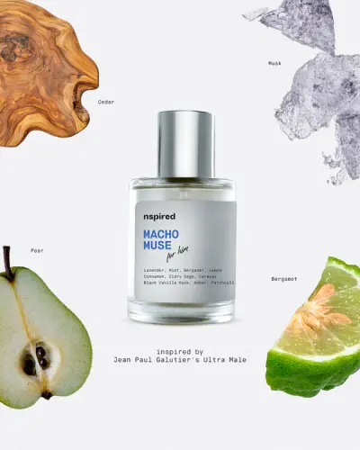 Macho Muse 1.webp