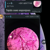 temp.png