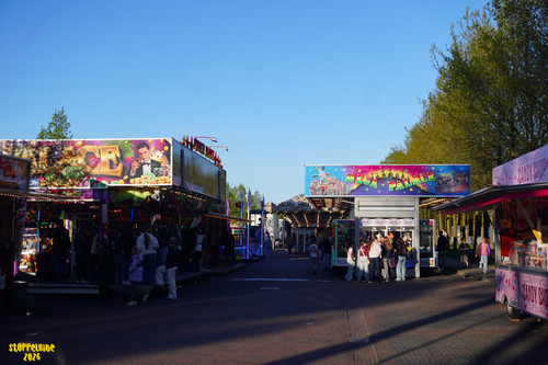 DSC09812 Watermarked.jpg
