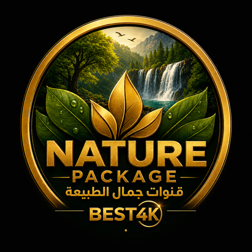 03E104D0 834F 4A31 9AEA 3C889C3A34A8.png