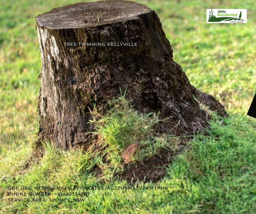 Tree Cutting Beecroft.jpg