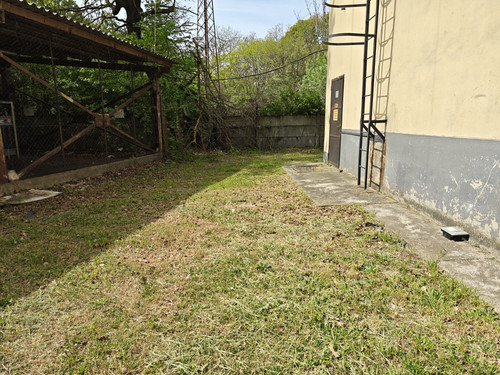 65.jpg
