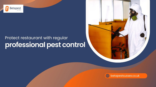 Protect restaurant with regular professional pest control.jpg
