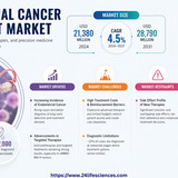 httpswww.24lifesciences.com (42)