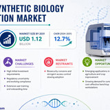 httpswww.24lifesciences.com (50)
