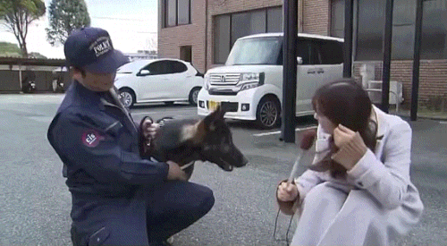 2610ce75e2cfdced84485b9e091199e5def1744b.gif