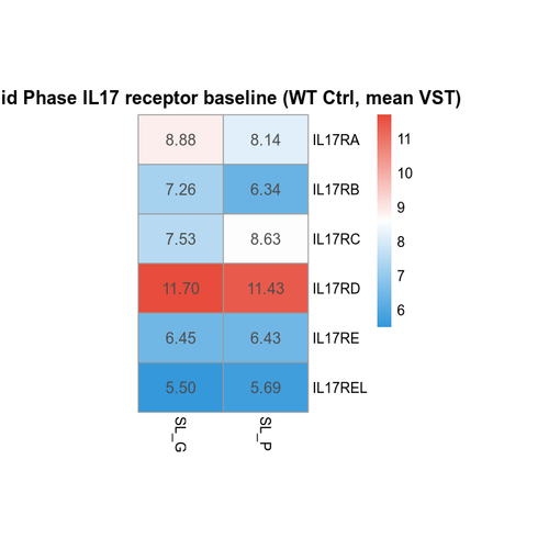 01 mid receptor baseline heatmap.png