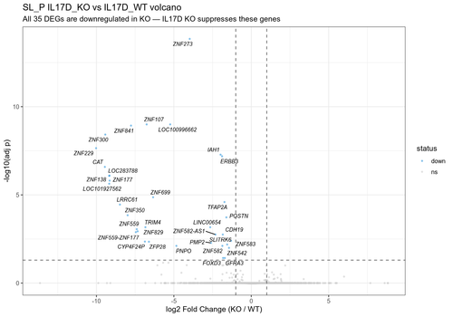 11 SL P IL17D KO vs WT volcano.png