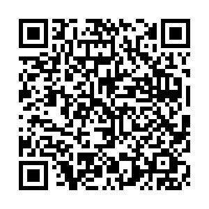 566 01 疯狂的契约.jpg