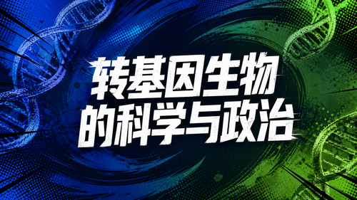 3493fd997e48.png