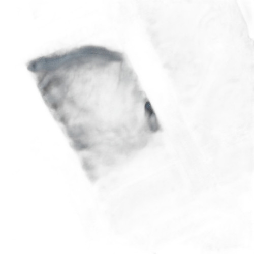 m44358198200 1 bg removed.jpg
