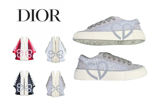 736Dior B33.jpg
