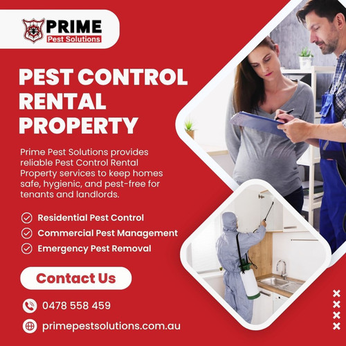 Pest control rental property.jpg