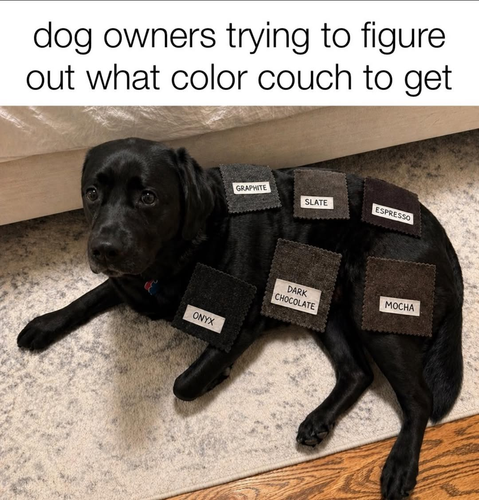 image 2026 04 28T114518.931.png