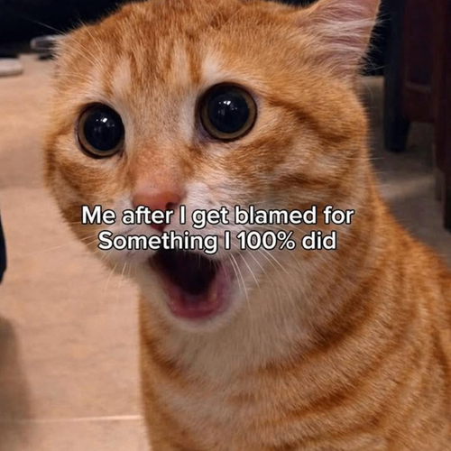 image 2026 04 28T114531.562.png