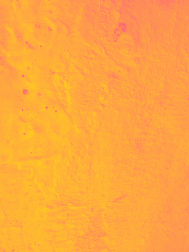 temp.png