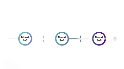 infographic 03 nobg.png