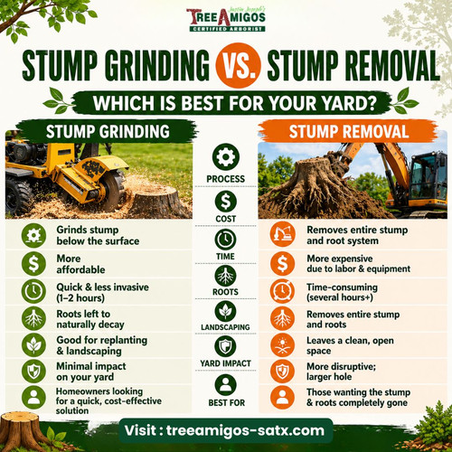Stump Grinding vs Stump Removal.jpg