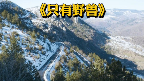 370 01 只有野兽.jpg