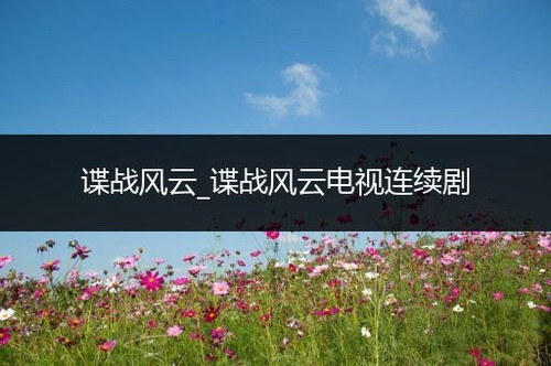 382 01 谍战风云.jpg