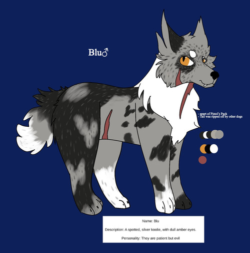 Untitled525 20260428135211.jpg