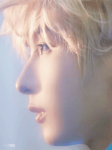 IMG 0482.gif