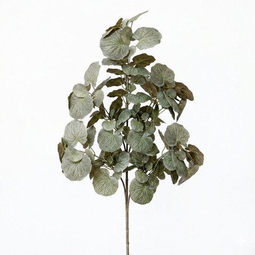 3337b90d a8eb 49b8 b42e 25926594c969.jpg