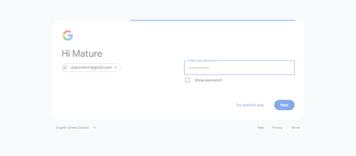 2026 04 28T12 46 43 904Z GOOGLE password entered.png