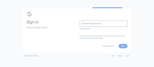2026 04 28T12 46 38 495Z GOOGLE email entered password.png