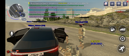 7995.jpg