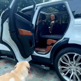 fef75244b6a1.gif