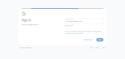 2026 04 28T12 47 10 373Z GOOGLE email entered password.png