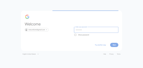 2026 04 28T12 47 14 968Z GOOGLE password entered.png