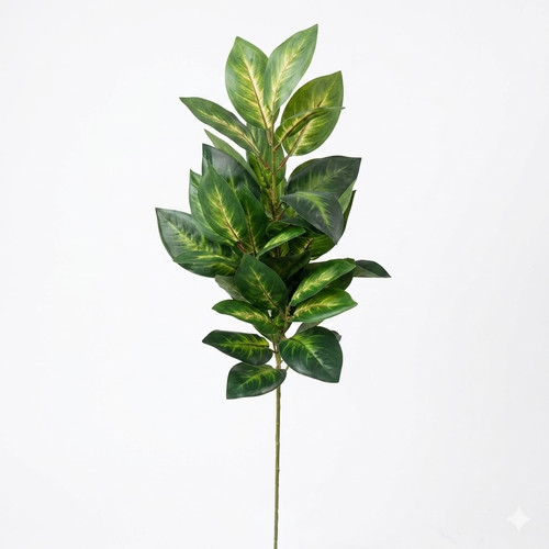 ab4bb990 b69c 465a 9d0e 785851cdbf1b.jpg