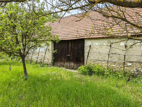 103.jpg
