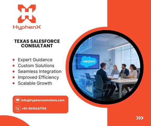 Texas Salesforce Consultant.jpg