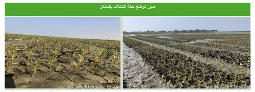 الصورة 1.jpg