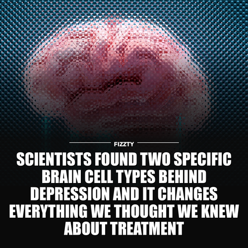 e14521b3f74c.png