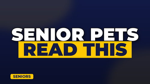 thumb pet insurance for senior pets landscape.png