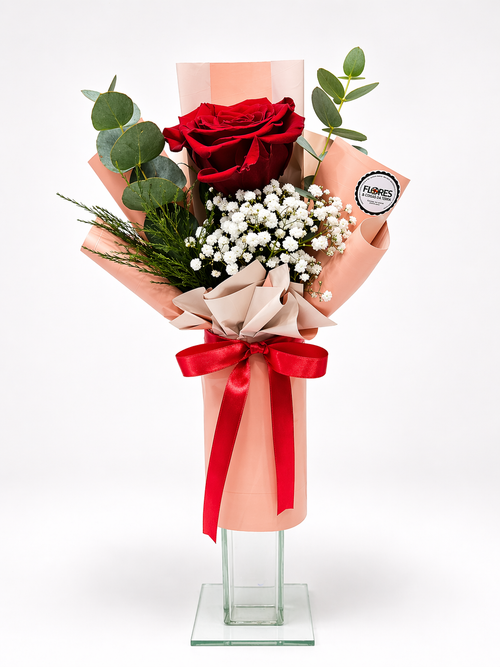 ChatGPT Image 28 de abr. de 2026, 15 42 28.png